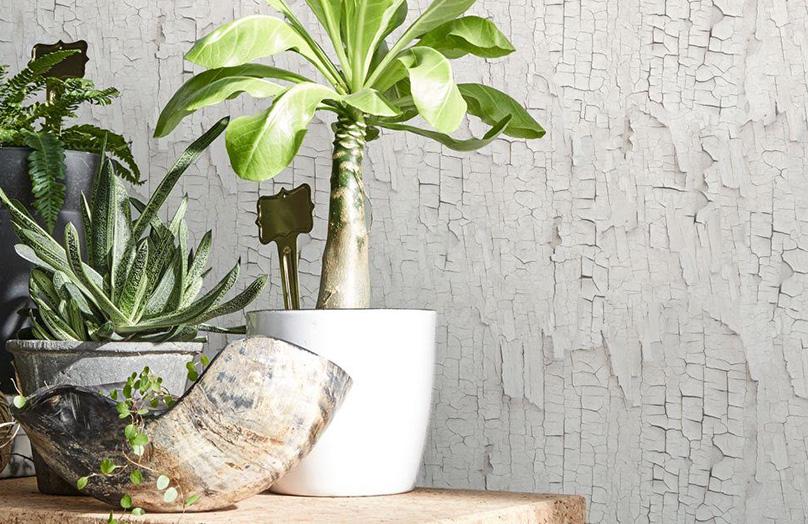 Koziel Studio : une déco en trompe-l'oeil