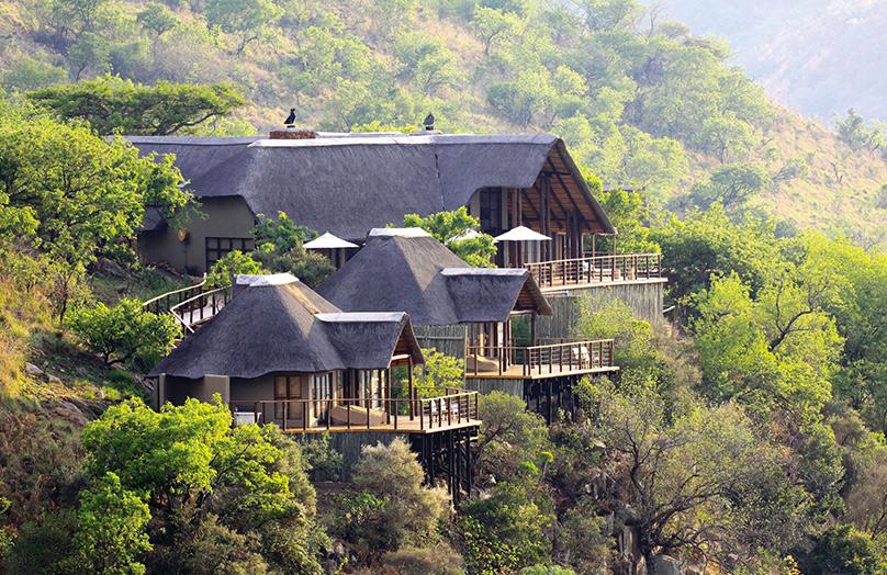 Esiweni Luxury Safari Lodge : un panorama d'exception