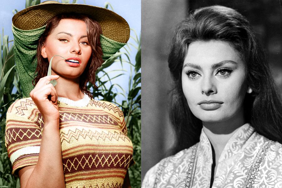 Sophia Loren Sophia-Loren, Dalani, Hollywood, Cinema, Oscar, Made-in-Italy
