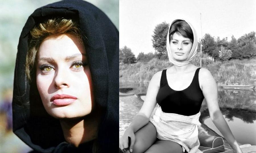 Sophia Loren Sophia-Loren, Dalani, Hollywood, Cinema, Oscar, Made-in-Italy