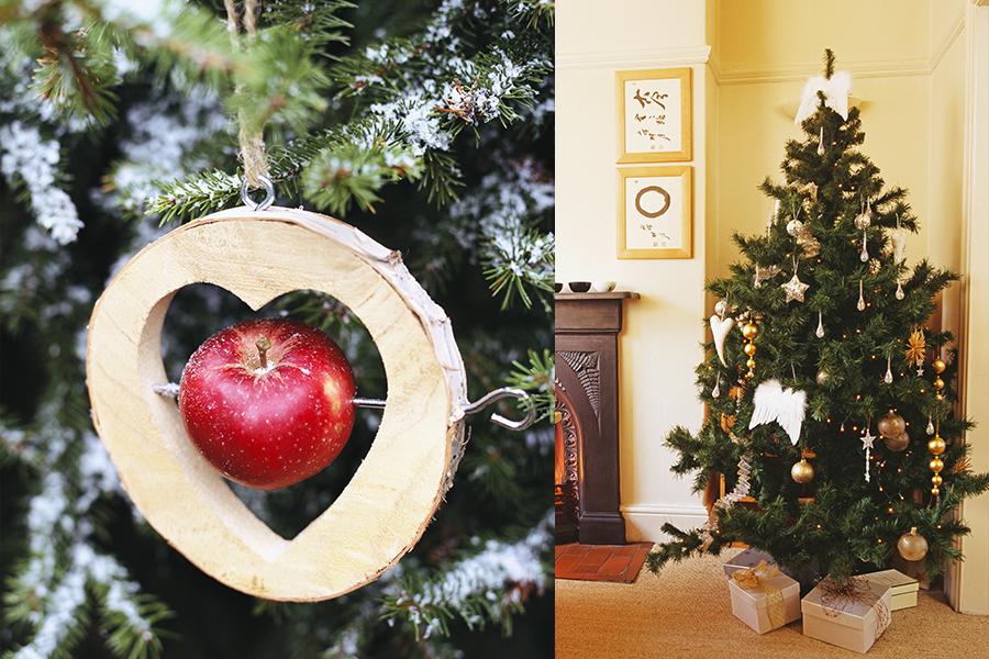 Feste Feste, Dalani, Colori, Ispirazioni, fai-da-te, Idee, Natale
