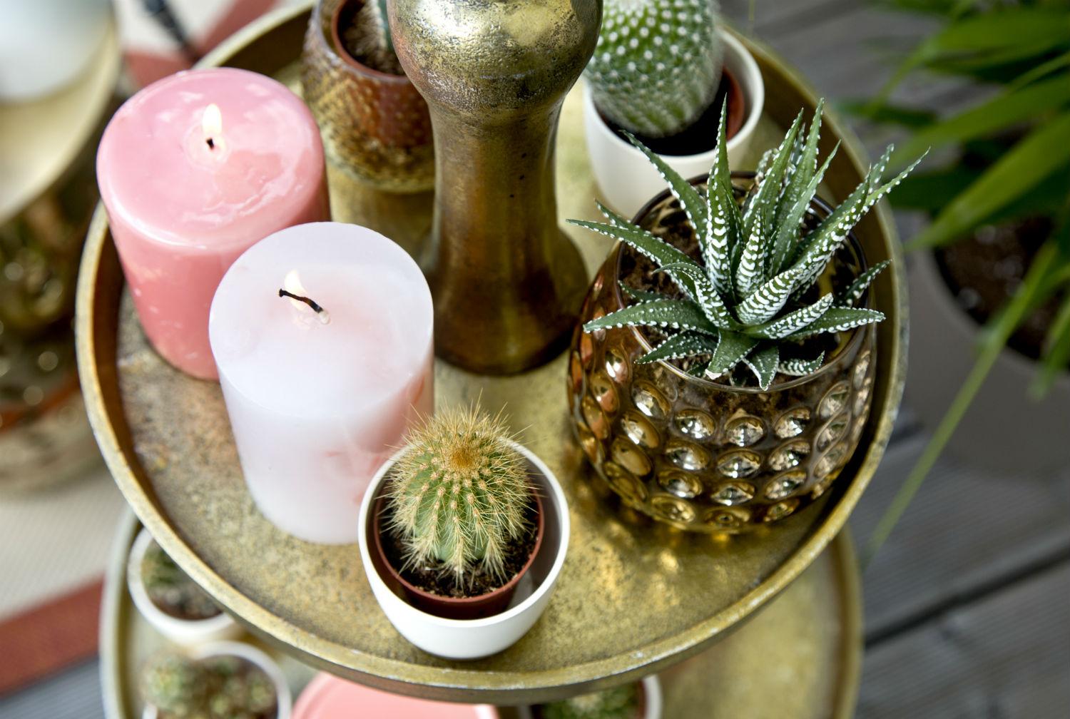 Dalani, Terrazzo, Giardino, Idee, Outdoor, Style, Trend