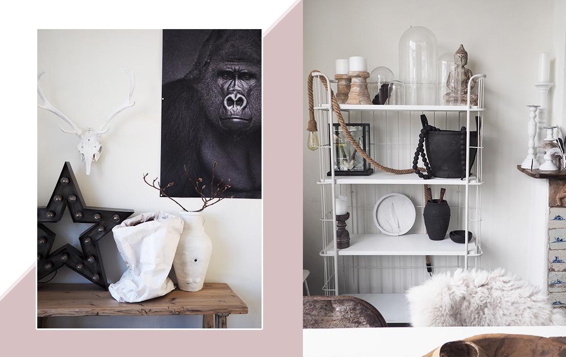 casa scandi sanne pol