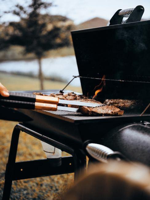 despedida-de-soltero Barbacoa en el jardín