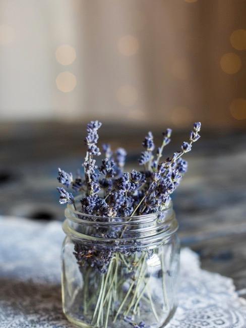 Crea tu propio perfume para hogar Crea tu propio perfume para hogar