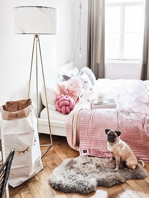 Perro en la habitación sobre una piel de oveja