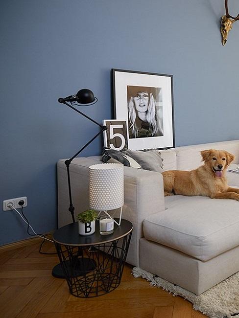 Szare poduszki na sofie w salonie z niebieskimi Åcianami