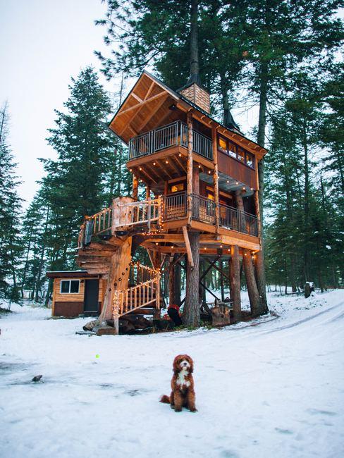 dormir-en-casa-del-arbol Casa en un árbol en campo nevado y perro