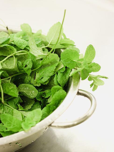 herbes-aromatiques Bol avec des feuilles d'herbes aromatiques