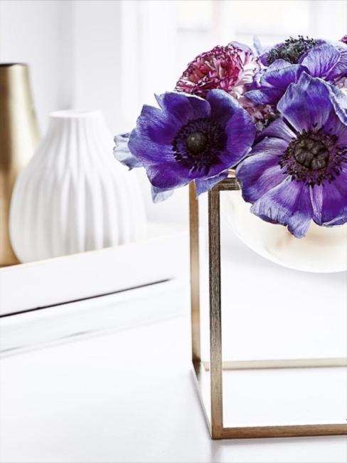 Ultrafiolet Ultrafioletowe maki w Golden Cube Bowl marki Lassen
