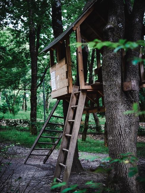 Domek na drzewie na jedną noc Domek na drzewie w lesie