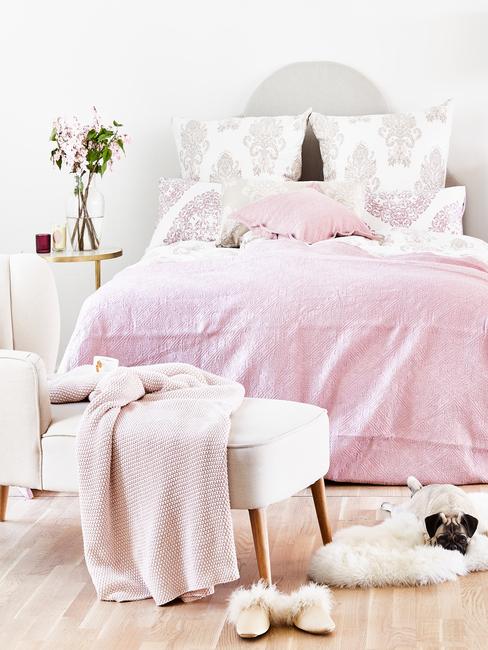 casas-de-familia Dormitorio en colores rosas con carlino tumbado sobre la alfombra