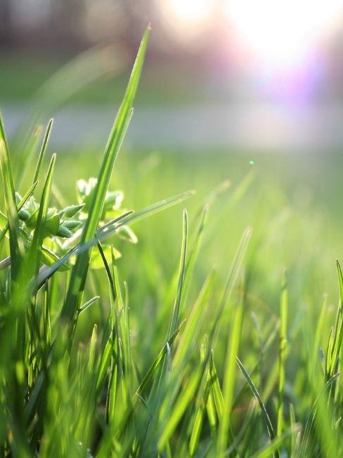 prato sintetico primo piano di fili d'erba sintetica in giardino