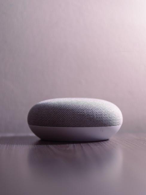Smart speaker Smart speaker