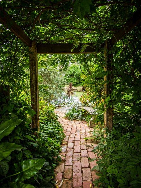 Tuinadvies Walk through the garden