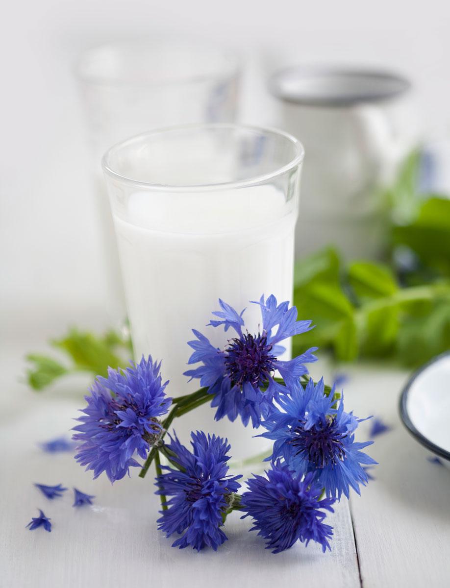 westwing-glas-mit-milch
