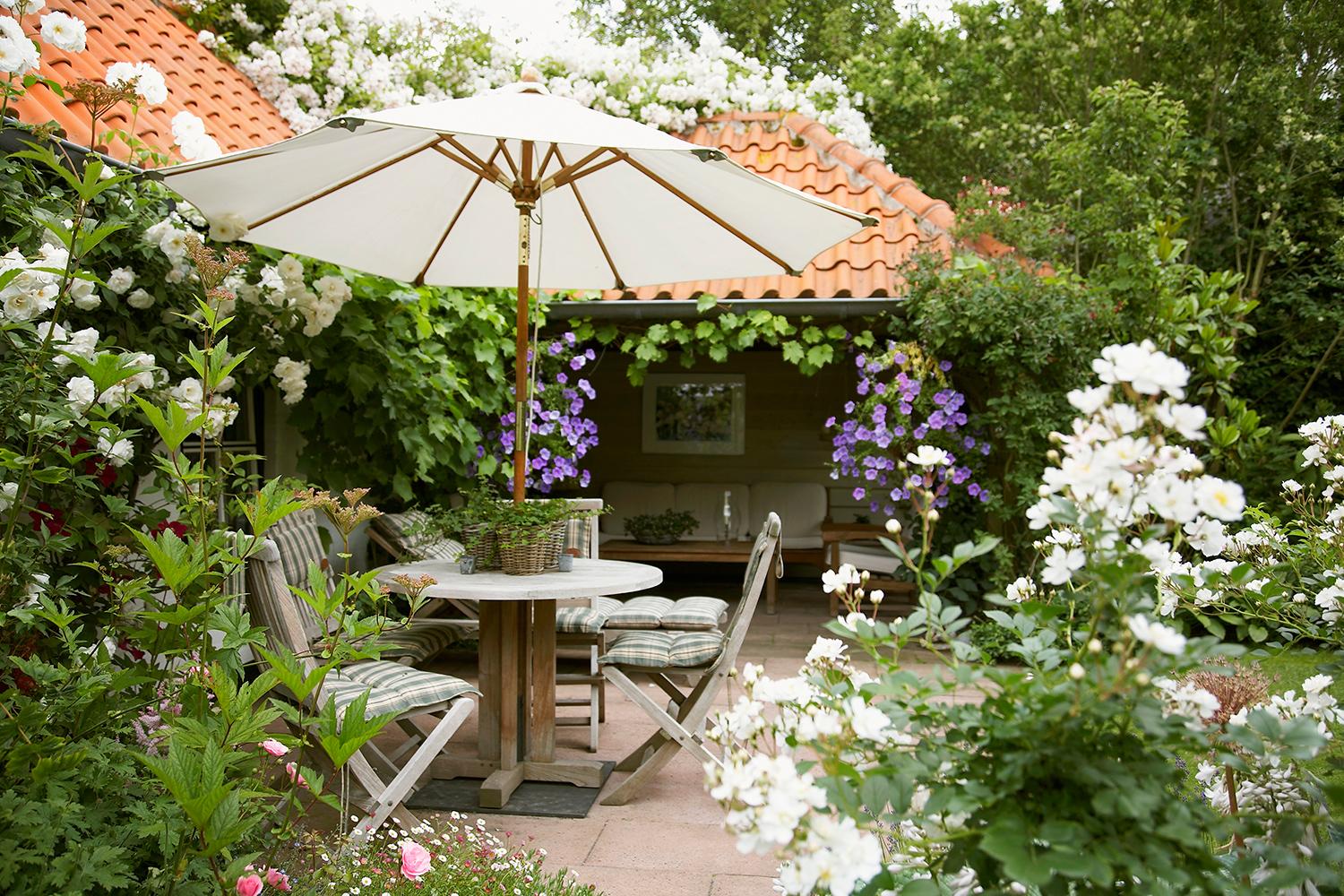 Simonetta Chiarugi, Aboutgarden, Arredamento, Consigli, Estate, Fiori, Giardino