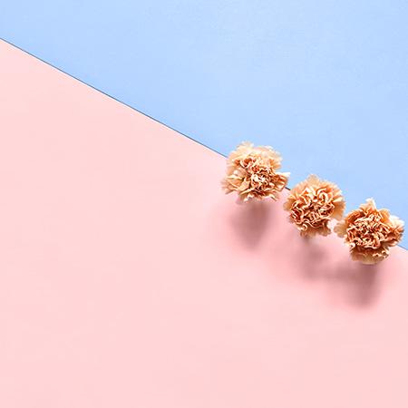 Barvy roku podle PANTONE: Rose Quartz a Serenity