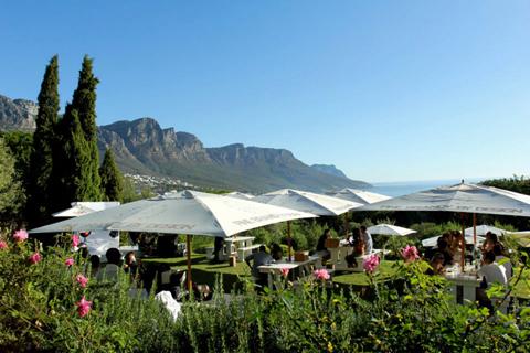 Cape Town for Food-Lovers