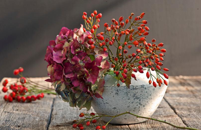 Los 7 imprescindibles del otoño en decoración