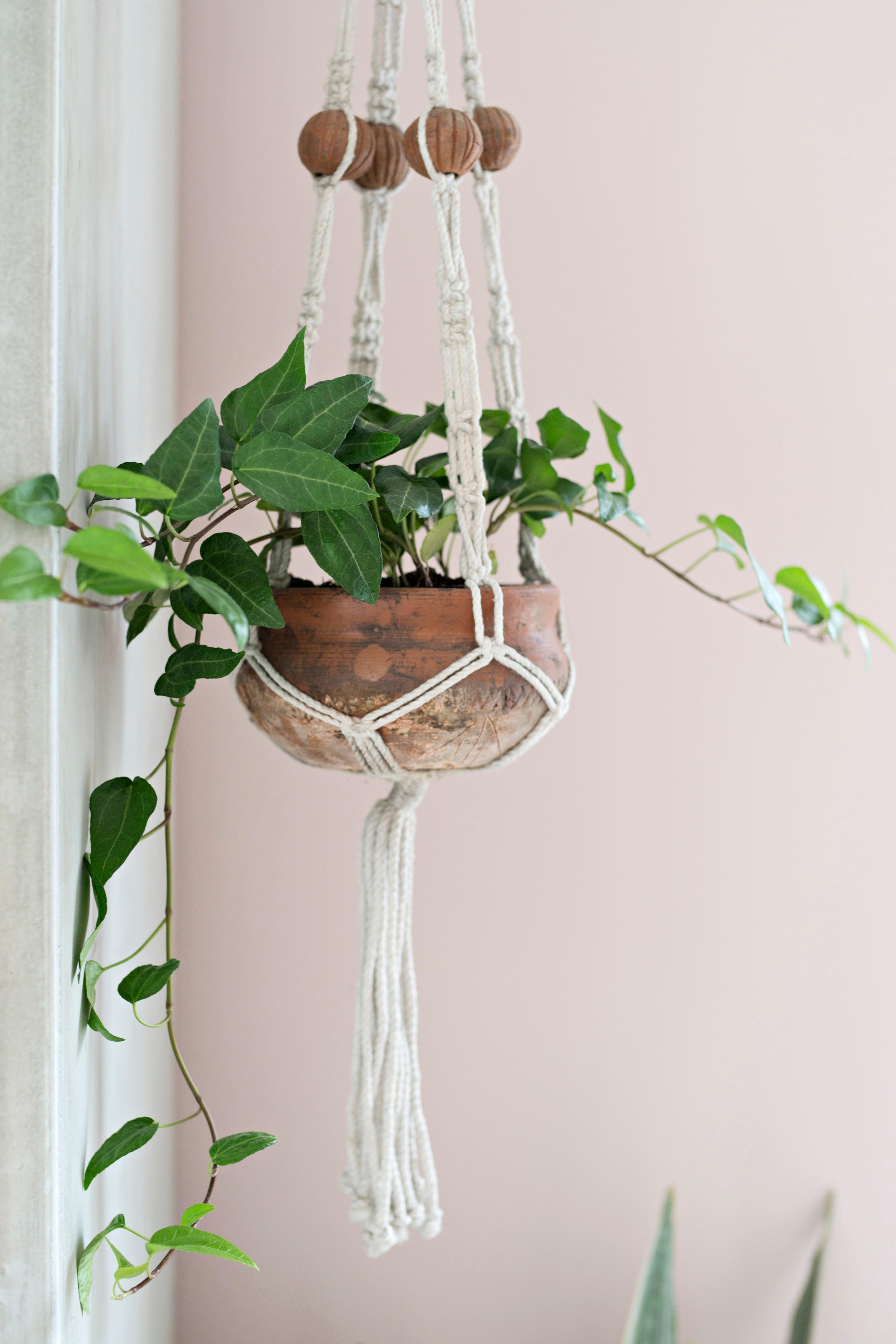 Colgador de macramé para plantas