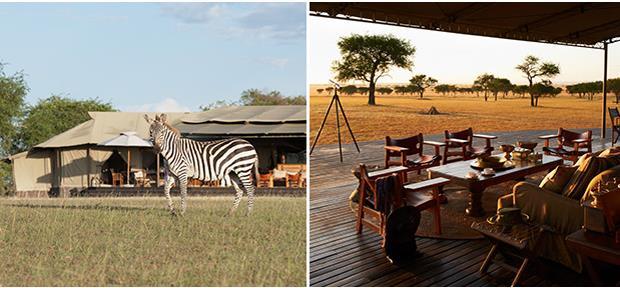 Singita Sabora Tented Camp - destination de rêve