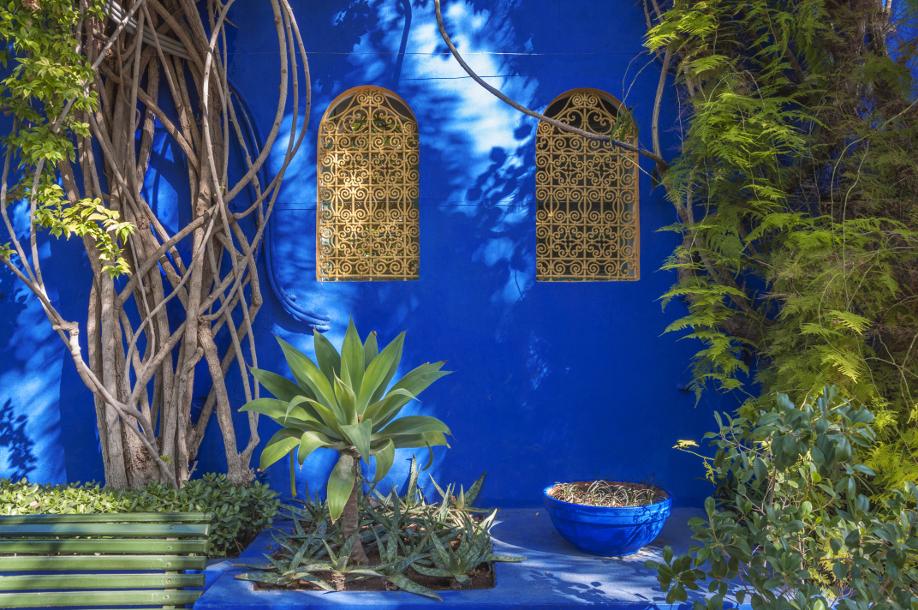 Giardino Majorelle, Majorelle, Marrakech, Colori, Giardino, Oriente, Viaggi, Marocco