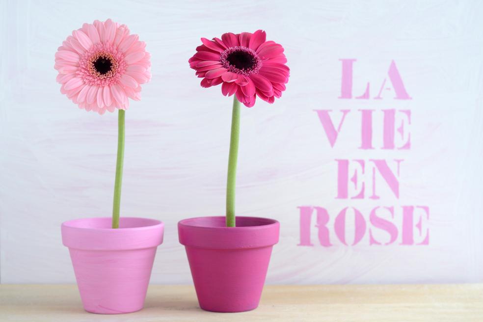 Arredare-con-il-rosa, Un-tocco-di-rosa-in-ogni-stanza, Rosa, Decorare-con-il-rosa, Dalani, Consigli, Colori, Autunno, Trend, Arredamento, Casa