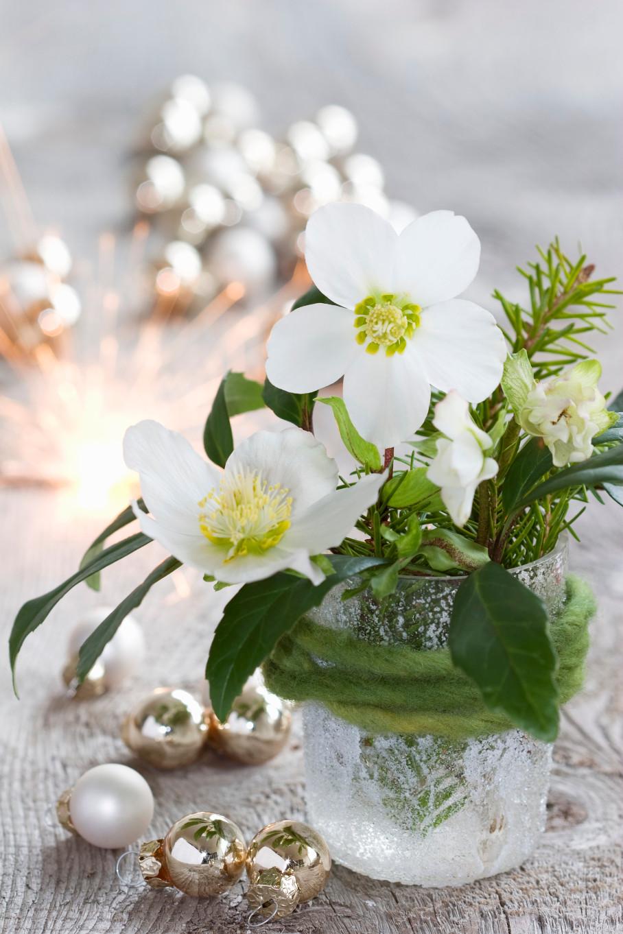 Bouquet invernale Decorare con Fiori e Frutti Invernali Idee Fai da Te per Natale Bouquet-invernale, Fiori-invernali, Fiori, Decorazioni, Fai-da-te, Natale, Idee