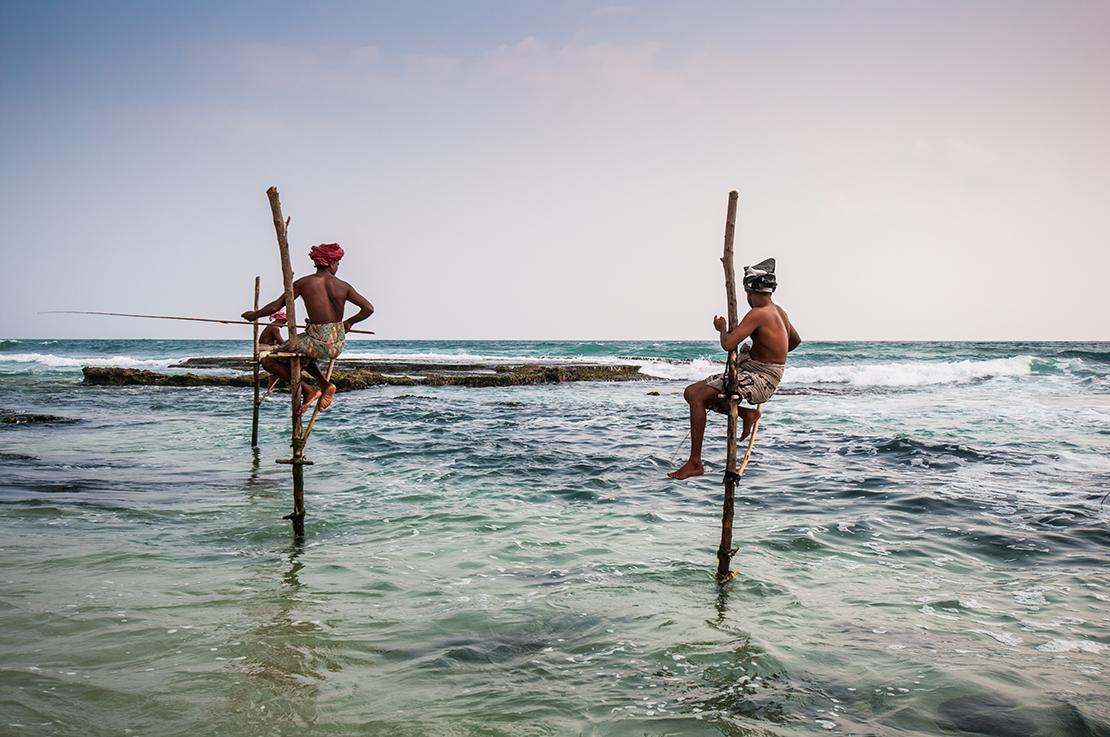 mete da sogno Sri Lanka
