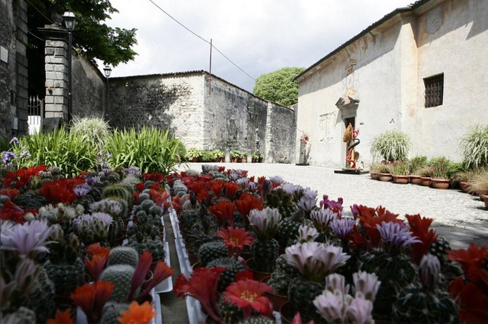 5 Eventi Imperdibili Primavera in Fiore Franciacorta in Fiore Eventi, 5 eventi imperdibili, Fiori, Giardino, Ispirazione, Trend, Franciacorta