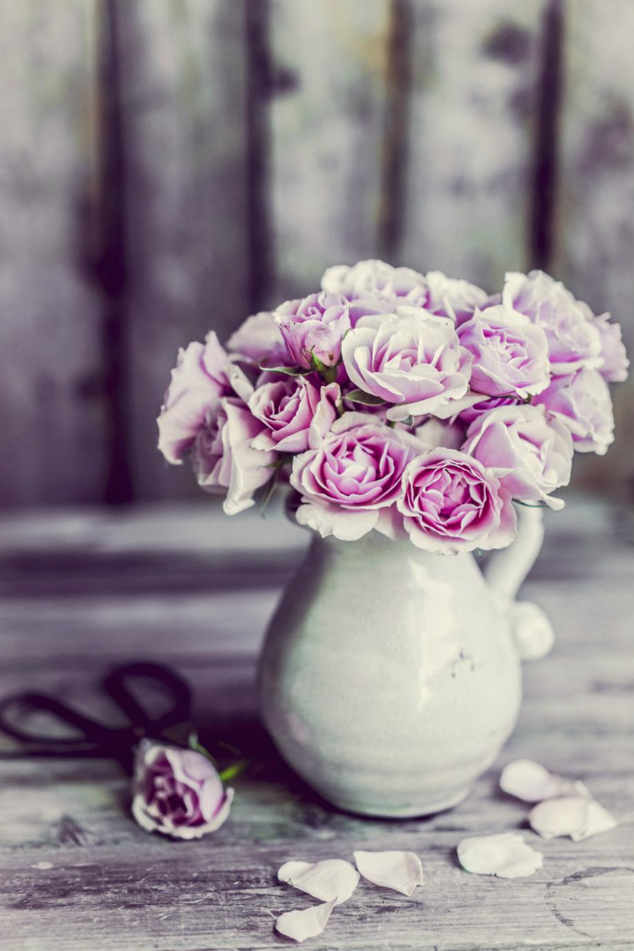 Must Have Estate 2016 Rose Estate 2016, Must have estate, Arredamento, Colori, Estate, Stile, Trend