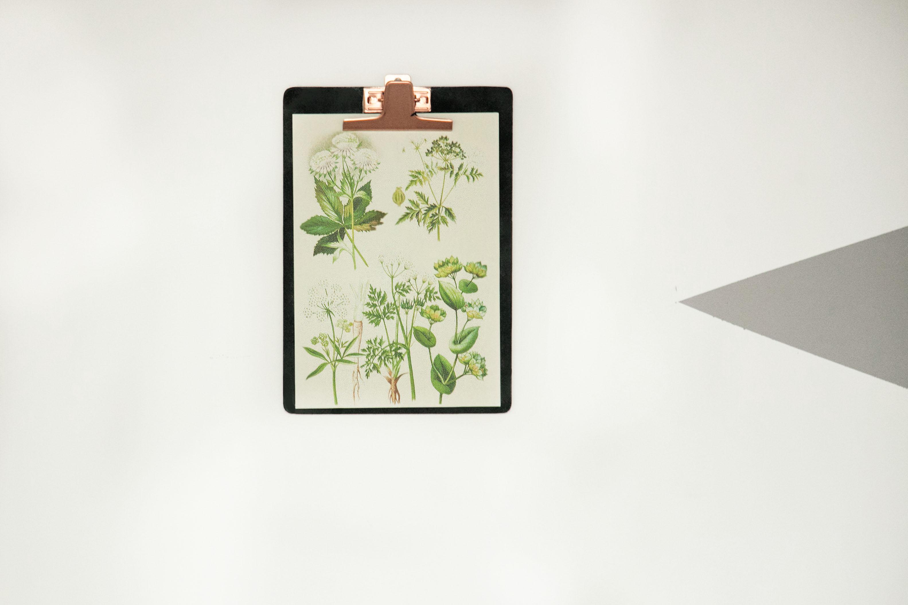 poster senza cornice clipboard