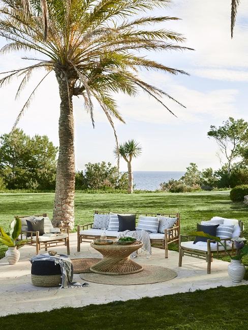 Grasveld met palmboom en houten tuinset