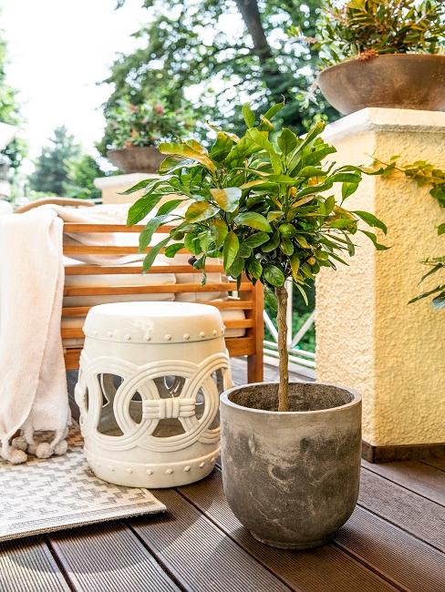 Bankirai Terrasse mit Hocker und Pflanze