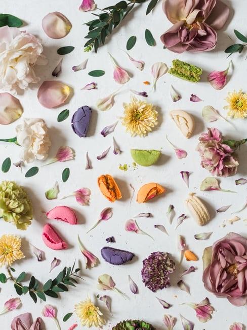 Fiori di carta