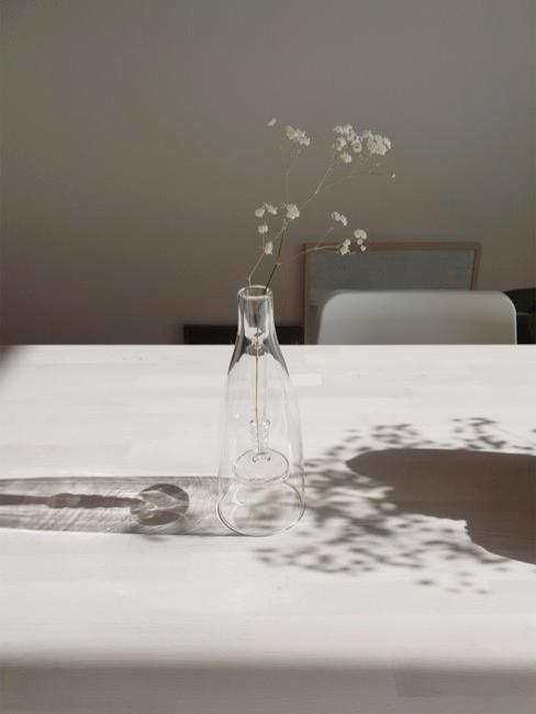 Schleierkraut Schleierkraut in Vase auf Esstisch
