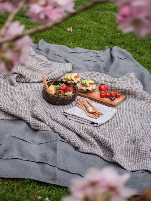 comer-al-aire-libre Manta de picnic gris con comida de picnic sobre el césped