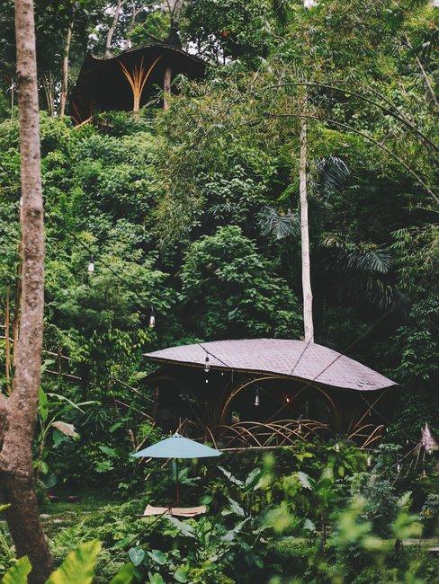 Simpel huis met scheef dak in de jungle