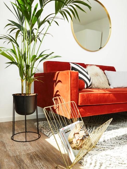 Kuebelpflanzen Wohnzimmer mit orangener Samtcouch und Palme im Kübeltopf