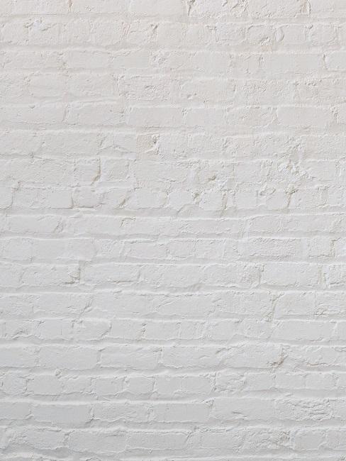 Eine weiße Ziegelwand in einer Detailaufnahme.