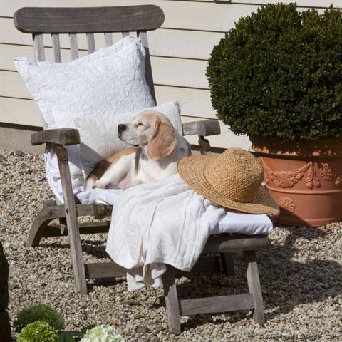 Sonnenanbeter