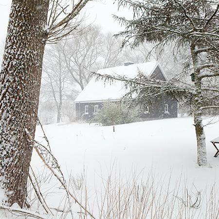Una Navidad en las montañas