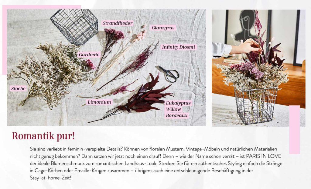 Grafik mit Anleitung für Trockenblumen Strauss