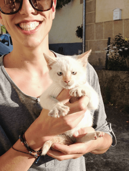 gato-nuevo-casa chico con un gato recien nacido en sus manos