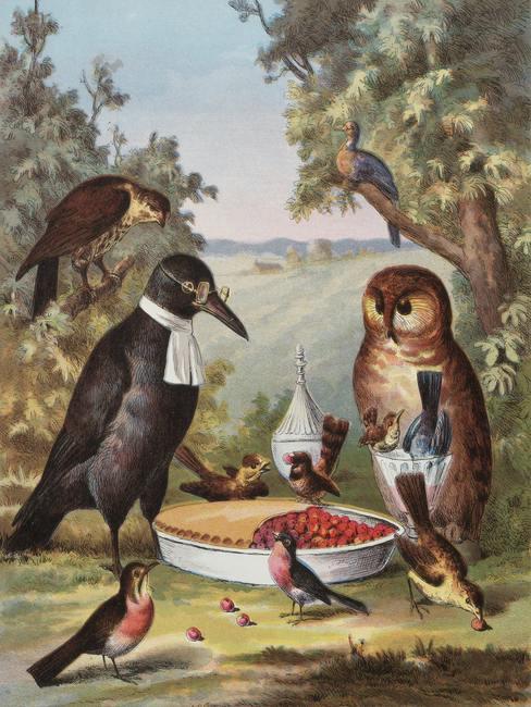 cuadros-para-ninos-banner Pájaros alrededor de una tarta de frutas del bosque