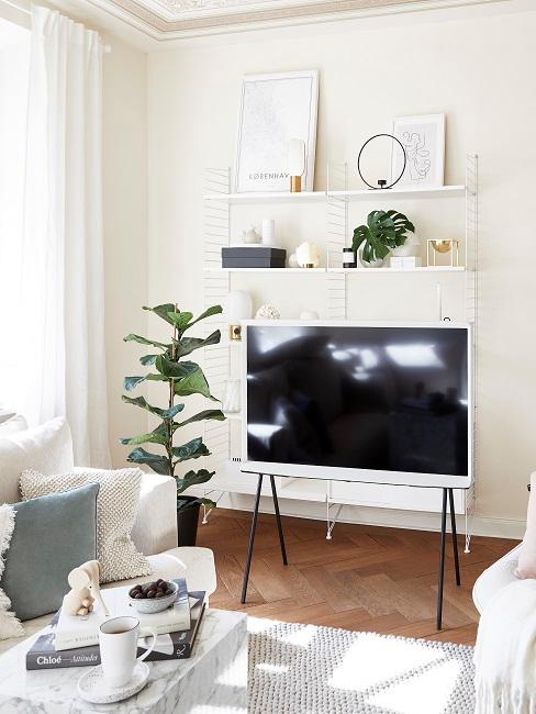 Gemütliches Wohnzimmer mit grünen Pflanzen neben dem TV.