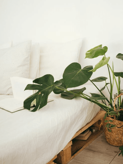 Mobili con pallet Letto realizzato con pallet