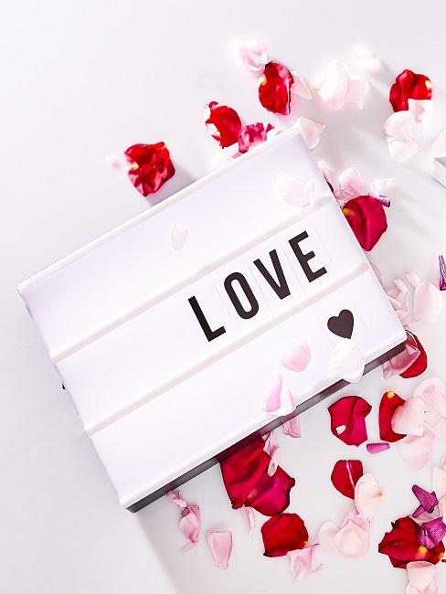 valentinstag ideen Leuchtbox mit "LOVE" Schrift und einem Herz auf dem Boden neben romantischen Rosenblättern