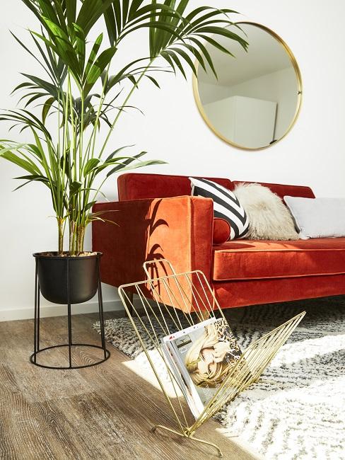 Wohnzimmer Pflanze Banner Große Wohnzimmer-Pflanze neben orangenem Sofa